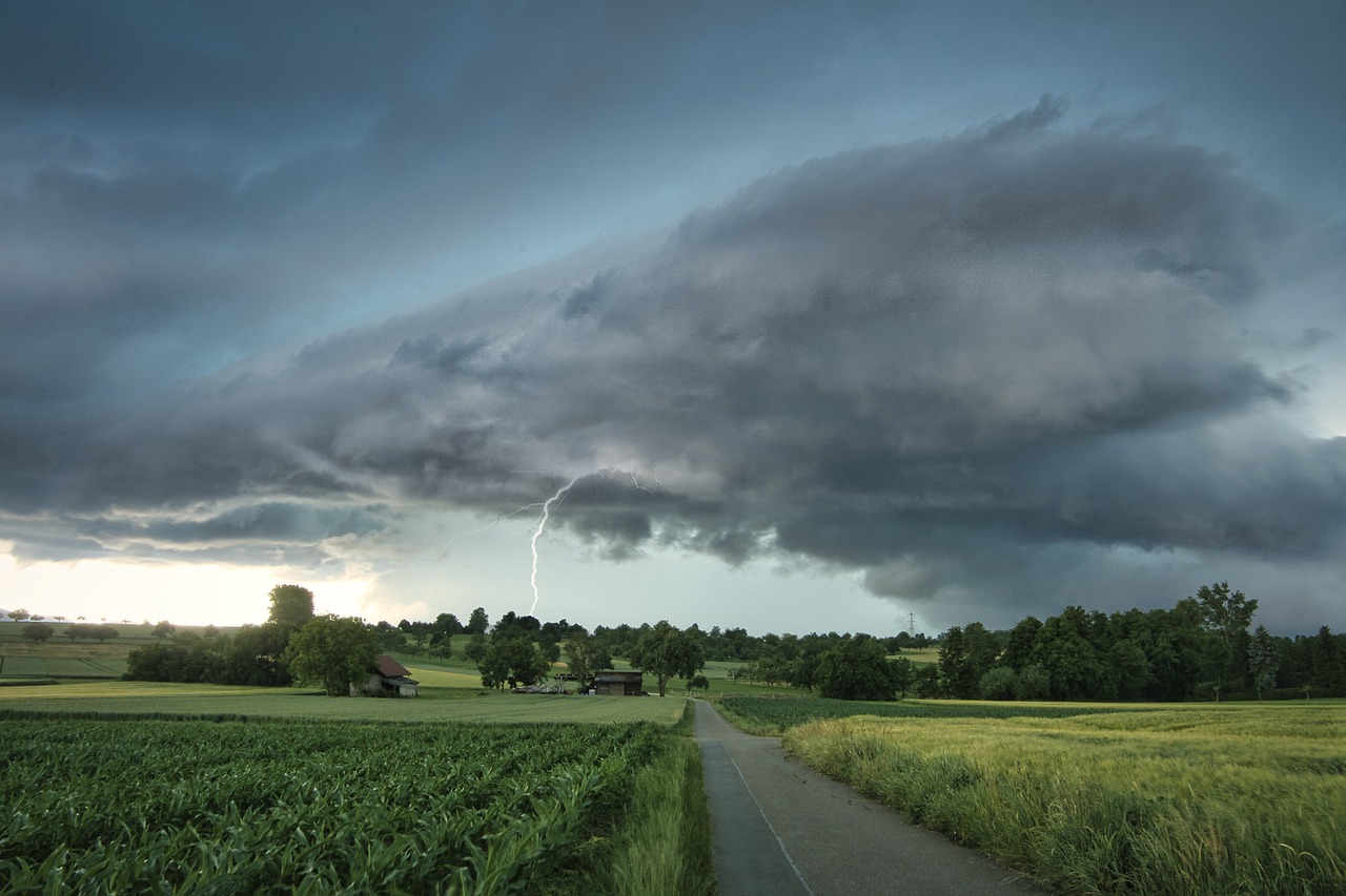 prognoza meteo