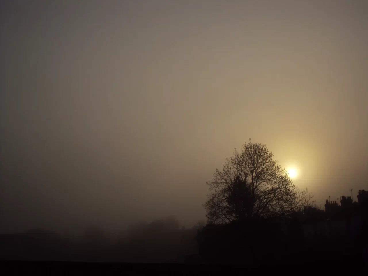 Prognoza meteo pe termen lung. Temperaturile mai ridicate în februarie, cu precipitații pe arii restrânse
Privind spre viitor, prognoza meteo pentru următoarele patru săptămâni indică o perioadă cu temperaturi mai ridicate decât în mod normal pentru această perioadă a anului, mai ales în sud și est.

De asemenea, regimul pluviometric va fi deficitar la nivelul întregii țări, iar începutul lunii februarie va aduce, în continuare, temperaturi mai mari decât cele specifice pentru această perioadă, însoțite de precipitații izolate